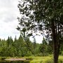 <palign=center> Parc national La Mauricie, derrière le lac Bouchard